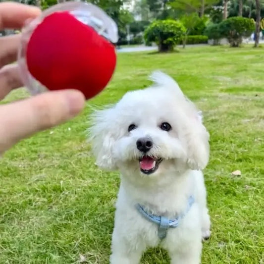 Smart Snuffle Ball | Interactive Pet Toy