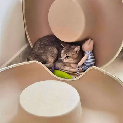 CatNap Cave