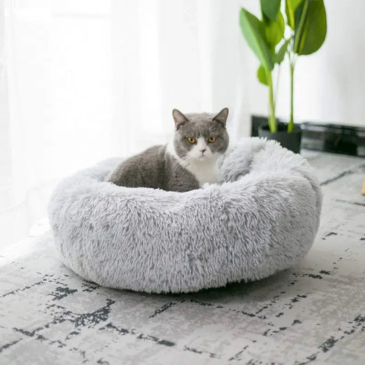 Calming Cushion Cat Bed | Soothe, Snuggle, and Sleep