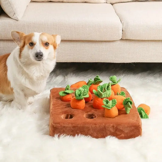 Carrot Interactive Plush Snuffle Toy