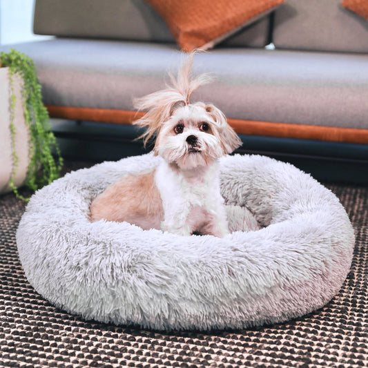 Calming Cushion Dog Bed | Soothe, Snuggle, and Sleep