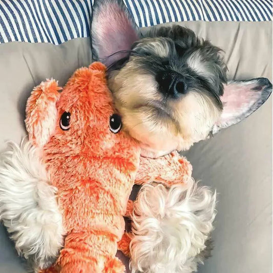 Lobster Louie | Wiggling Interactive Pet Toy